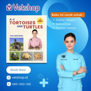 A-Z Tortoises and Turtles